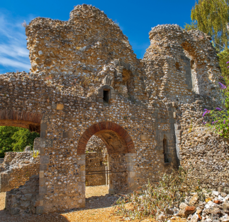 <strong><span class="NormalTextRun SCXW156959542 BCX8">WOLVESEY CASTLE</span></strong>